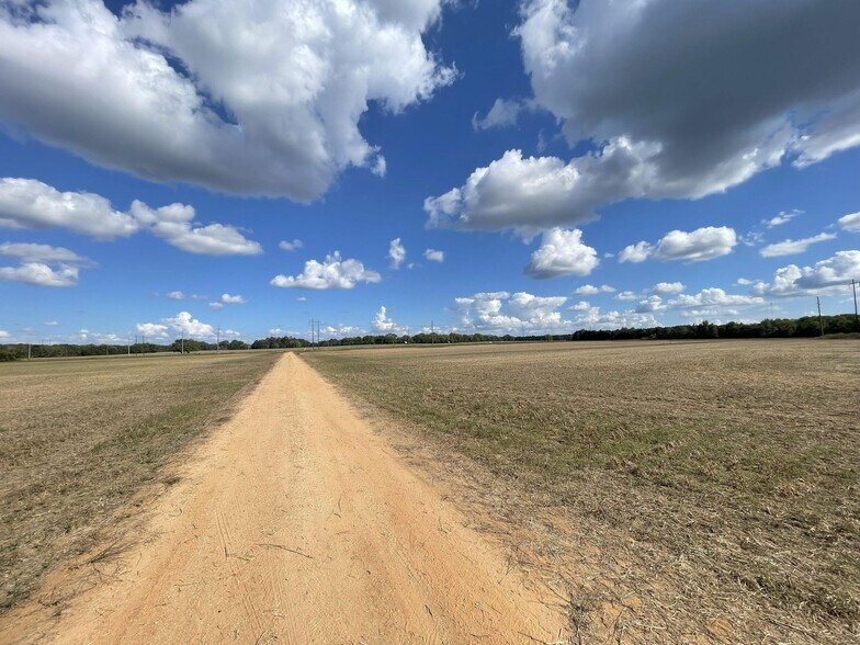More Photos Of County 21 & Bell Grayson Road hwy, Demopolis Land For Sale