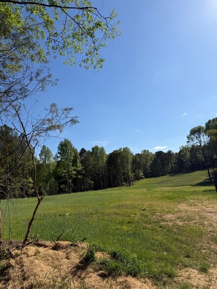 Primary Photo Of 6215 GA-155 N, Stockbridge Land For Sale