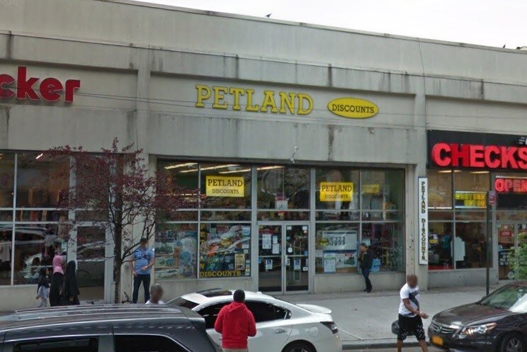 More Photos Of 3965 White Plains Rd, Bronx Freestanding For Lease