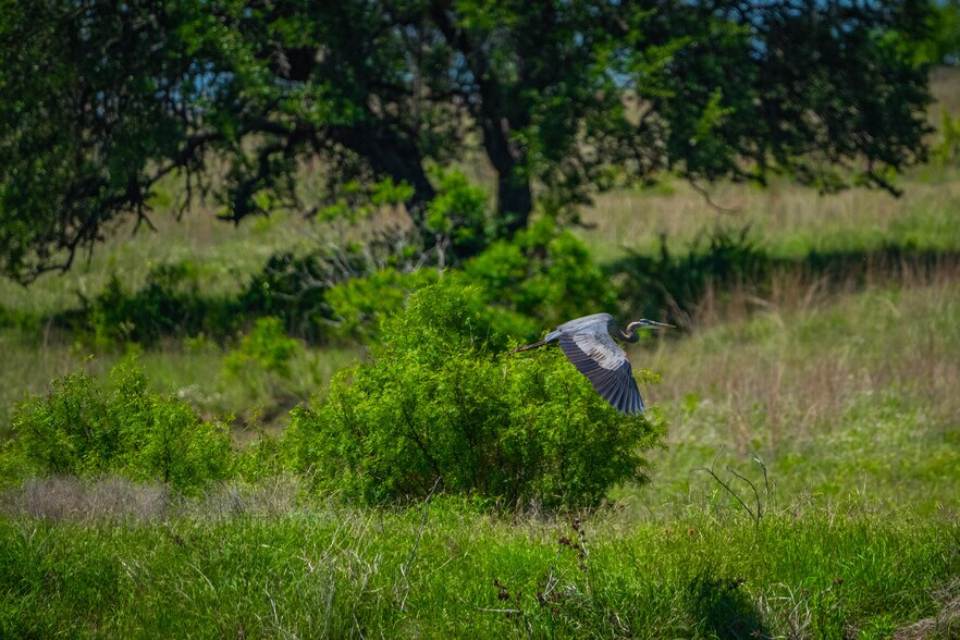 More Photos Of CR 535, Evant Land For Sale
