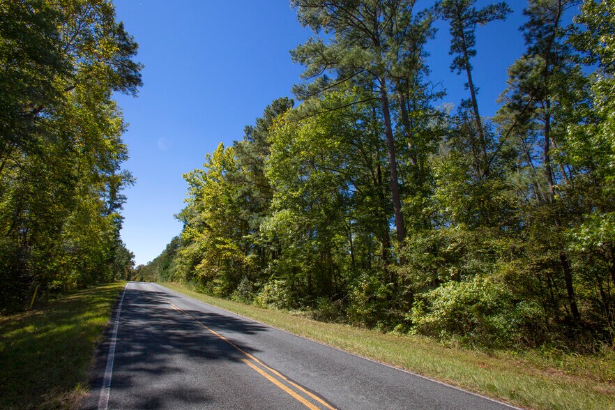 More Photos Of Walter Bright Road & 15-501, Sanford Land For Sale