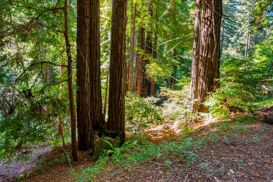 More Photos Of 2372 McKenzie Creek rd, Scotts Valley Land For Sale