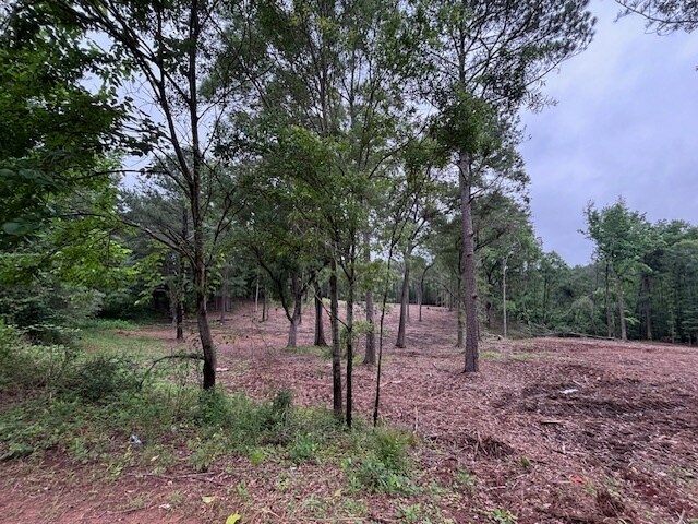 More Photos Of 0 Peachview Blvd, Gaffney Land For Sale