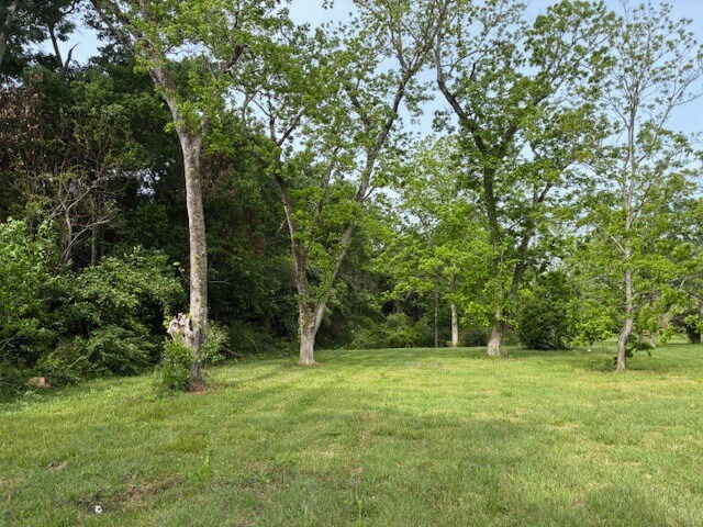 More Photos Of 10030 Grand Bay Wilmer Rd S, Grand Bay Land For Sale