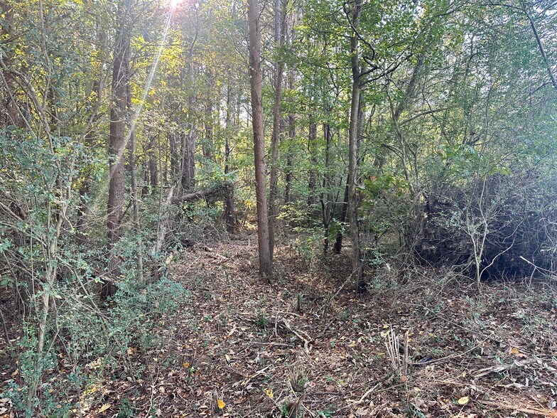 More Photos Of 00 NE Hwy 411, Rydal Land For Sale