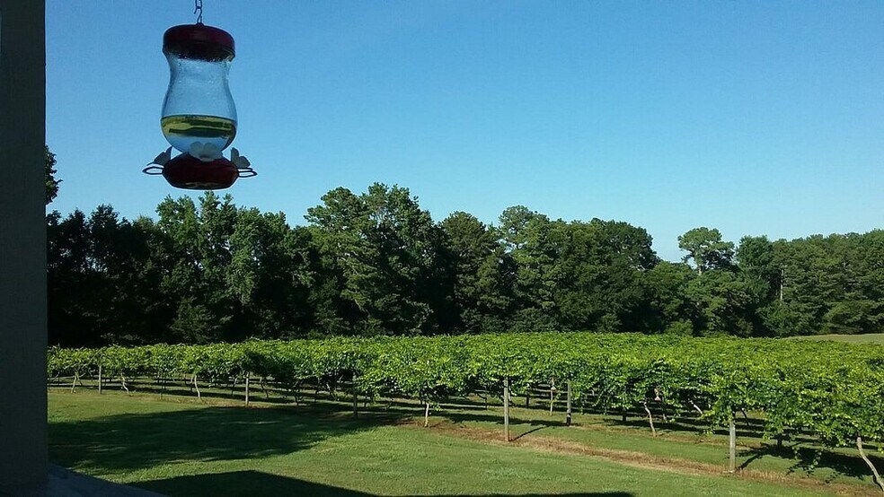More Photos Of 1650 Dusty Rd, Newberry Winery Vineyard For Sale