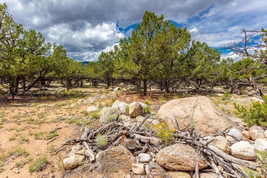 More Photos Of 30224 US-24, Buena Vista Land For Sale