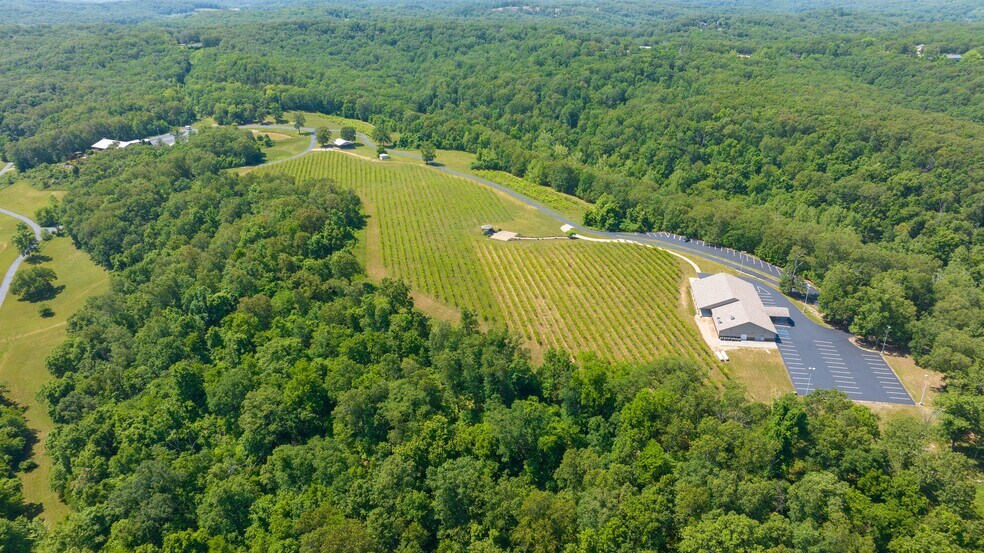 More Photos Of 846 Winery Hills Est, Linn Creek Winery Vineyard For Sale