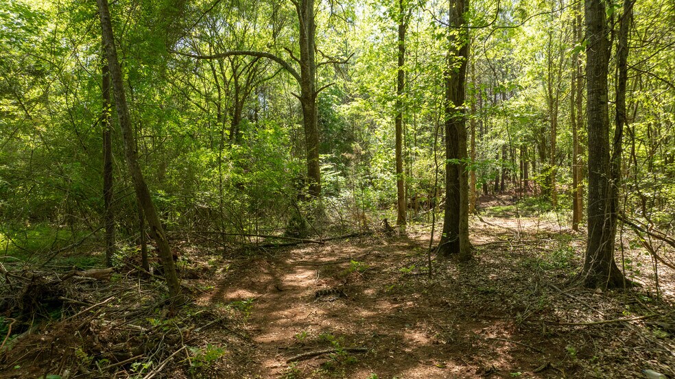 More Photos Of Lexington/Baldwin Park, Lagrange Land For Sale