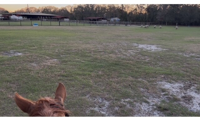 More Photos Of 7705 Gardner Rd, Tampa Specialty For Sale