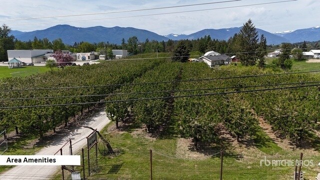 More Photos Of 3853 Muzzy Rd, Canyon Land For Sale