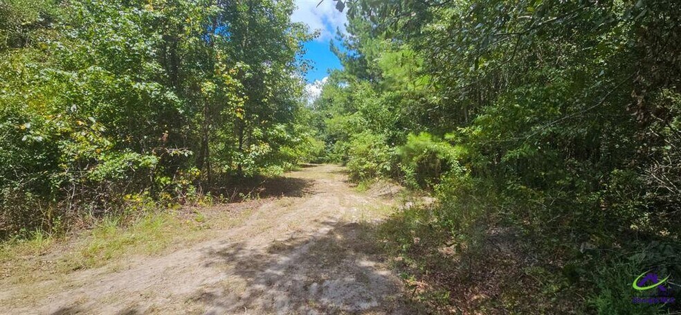 More Photos Of 21.20 Acres Priest Road, Vienna Land For Sale