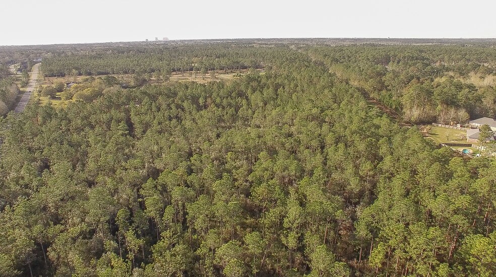 More Photos Of 14085 Lamey Bridge Rd, Diberville Land For Sale