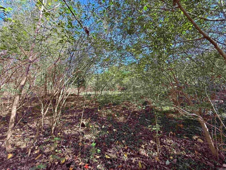 More Photos Of 101 Indian Trl, Bald Knob Land For Sale