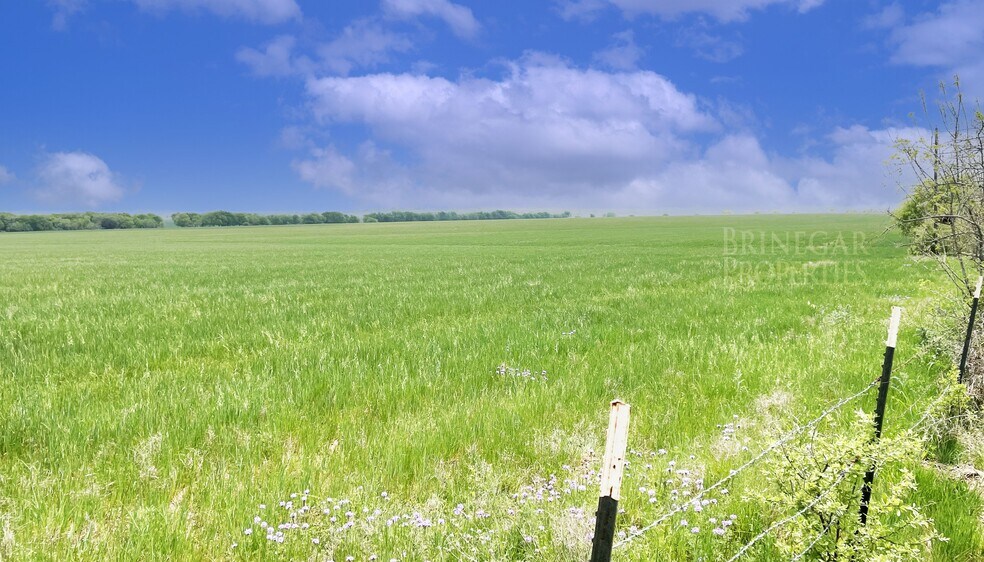 More Photos Of County Road 307, Jarrell Land For Sale