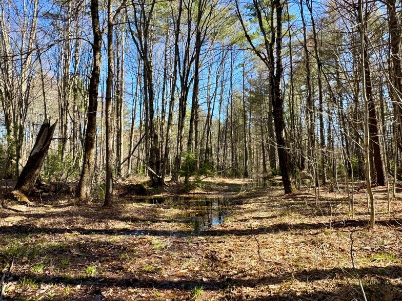 More Photos Of 2659 NH Route 16, Albany General Retail For Sale