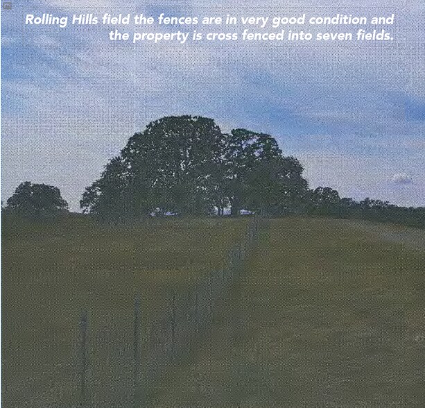 More Photos Of South of Black Butte Lake, Orland Land For Sale