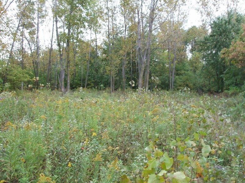 More Photos Of 3349 Refugee Rd, Columbus Land For Sale