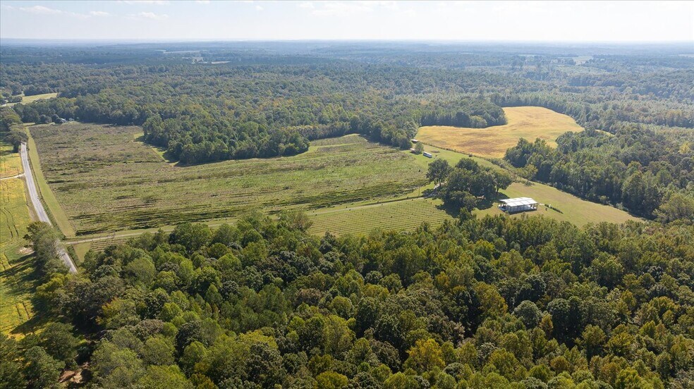 More Photos Of 667 Hustle Rd, Hustle Winery Vineyard For Sale