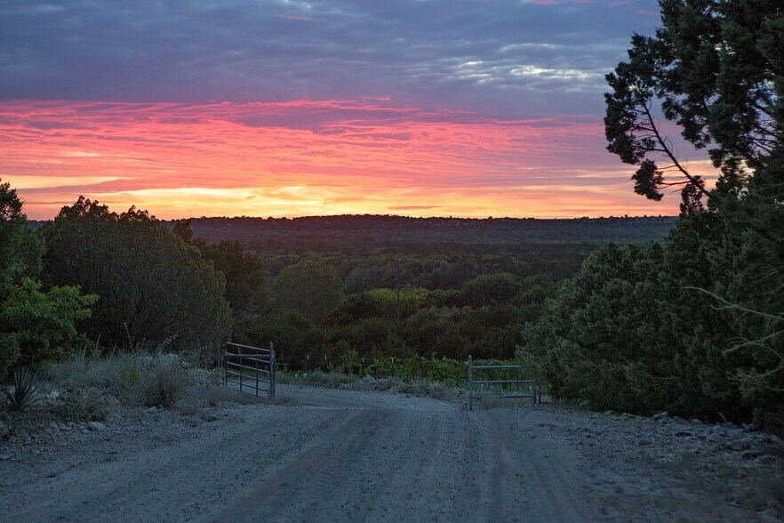 More Photos Of 6000 Tucker Dr, Weatherford Winery Vineyard For Sale