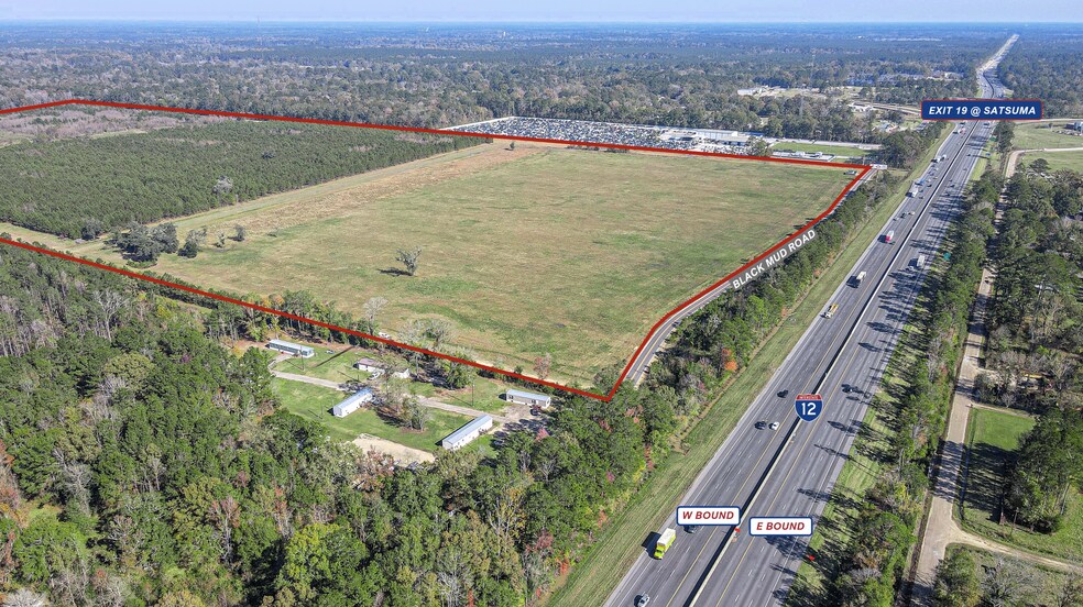 Primary Photo Of Black Mud Road, Livingston Land For Sale
