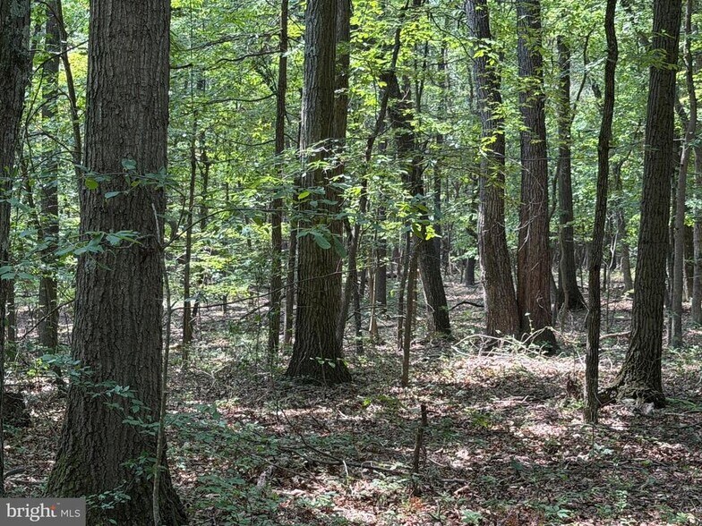More Photos Of Porter's Ln, Hancock Land For Sale