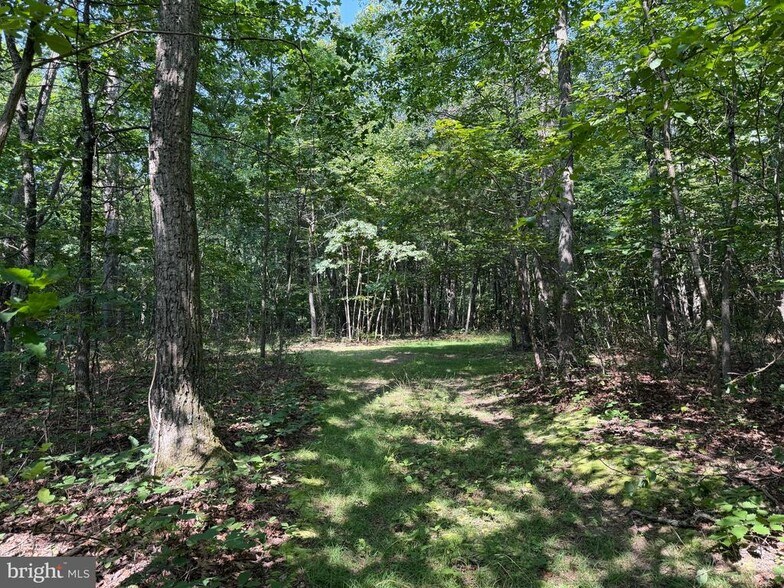 More Photos Of Porter's Ln, Hancock Land For Sale