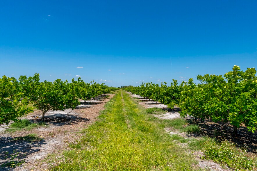 Primary Photo Of Hwy 31 @ #40, Arcadia Land For Sale