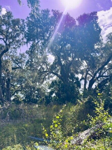 More Photos Of W C 48, Bushnell Land For Sale