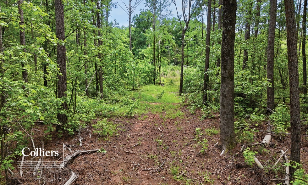 More Photos Of Todd Quarter Rd, Waterloo Land For Sale