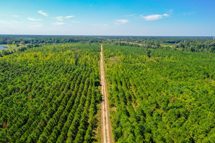 More Photos Of FM 1010 @ Loop 105, Cleveland Land For Sale