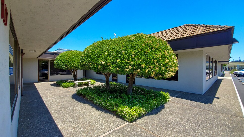 More Photos Of 117-121 Paul Dr, San Rafael Medical For Lease