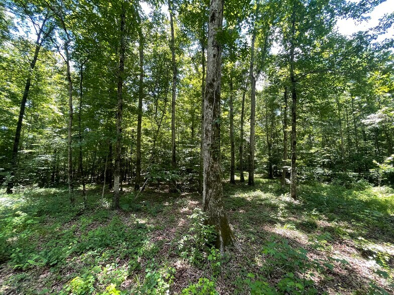 More Photos Of Raspberry Street & 69 hwy, Gallion Land For Sale