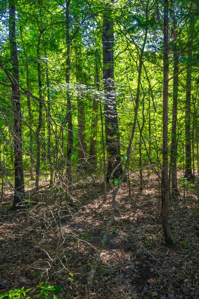 More Photos Of County Road 2592, Marietta Land For Sale