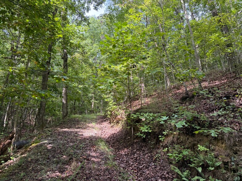 More Photos Of Fuller Mountain Rd, Fairmount Land For Sale