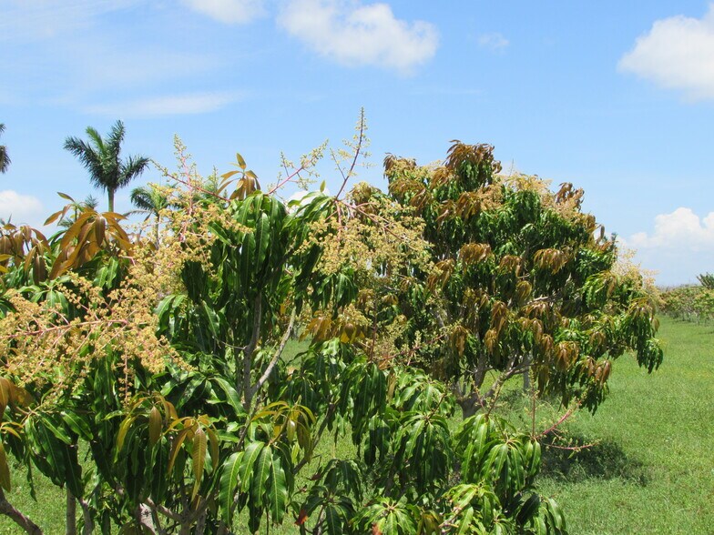 More Photos Of 9000 Stringfellow Rd, Saint James City Land For Sale