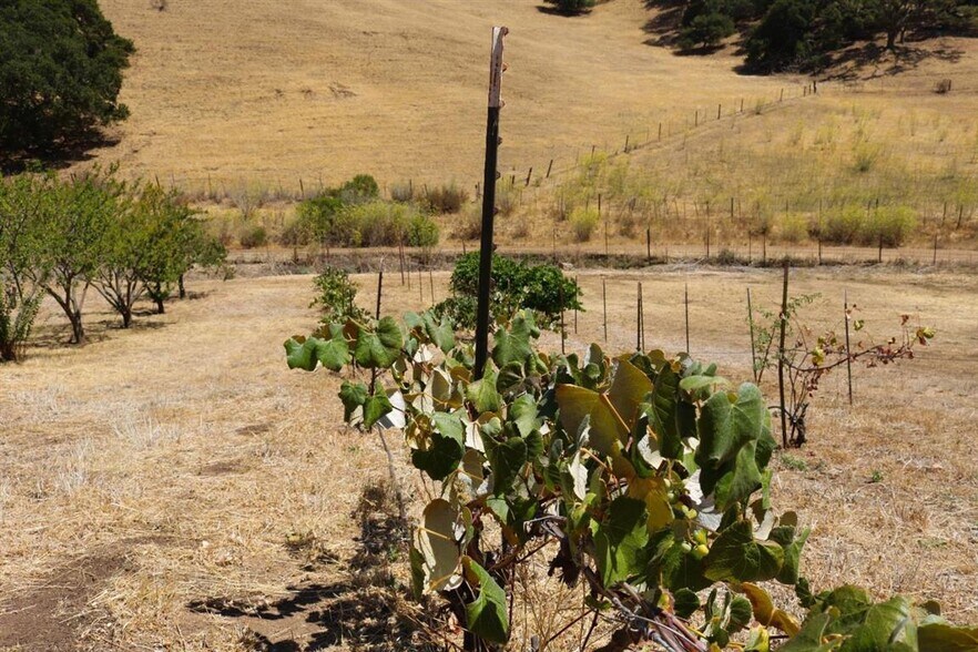 More Photos Of 32800 Johnson Canyon Rd, Gonzales Land For Sale