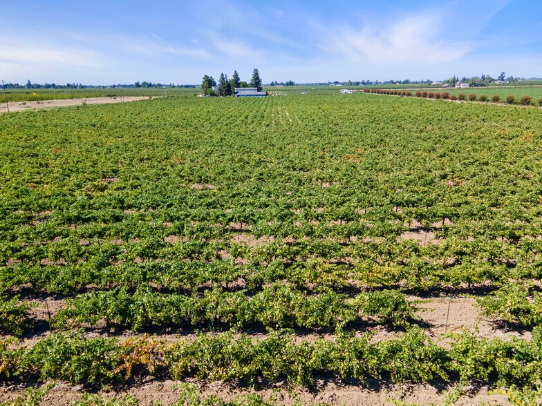 More Photos Of 9291 E Harney Ln, Lodi Land For Sale