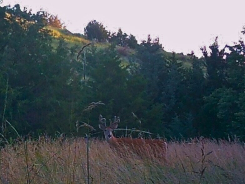 More Photos Of TBD Highway 1804, Pierre Land For Sale