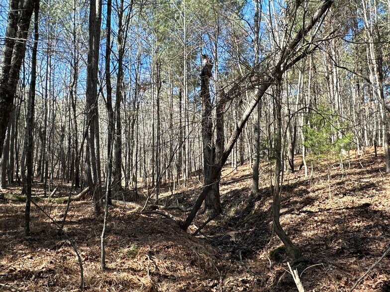 More Photos Of 3472 Prior Station Rd, Cedartown Land For Sale