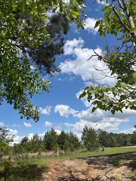 More Photos Of 0 New Bethel Church Rd, Fitzgerald Land For Sale