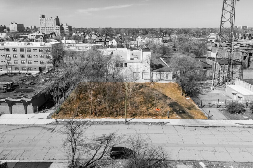 More Photos Of 289 Baltimore ave, Detroit Land For Sale