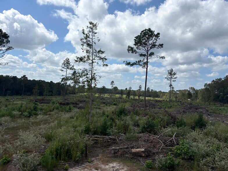 More Photos Of TBD CR 3665 Queen City Texas 20 Acres, Queen City Land For Sale