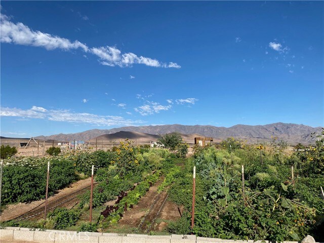 More Photos Of 691 Desert Trail way, Tecopa Winery Vineyard For Sale