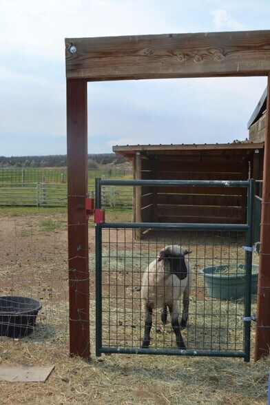 More Photos Of 480-100 Belfast Rd, Litchfield Land For Sale