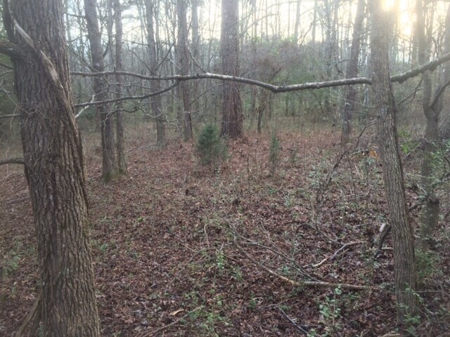 More Photos Of 5791 Atlanta Hwy, Rutledge Land For Sale
