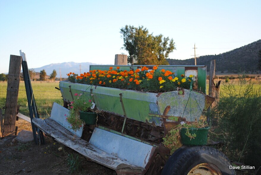 More Photos Of 3104 Harry Cash Rd, Montague Land For Sale