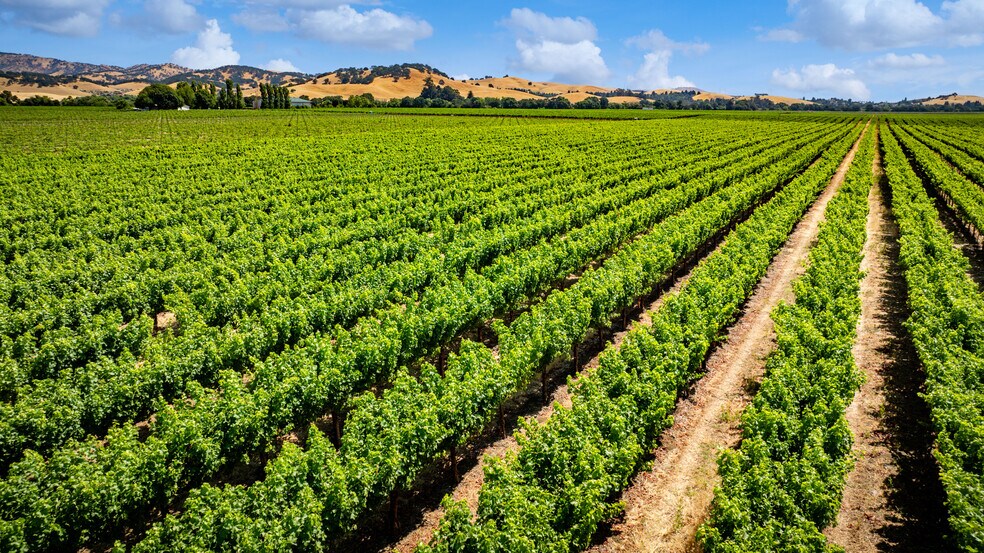 More Photos Of 4591 Abernathy Rd, Fairfield Land For Sale