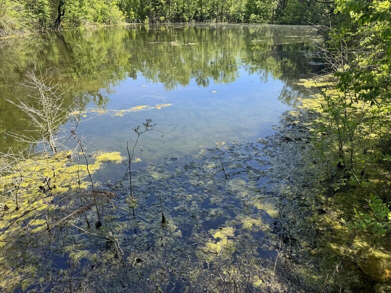 More Photos Of Highway 80 East, Gallion Land For Sale