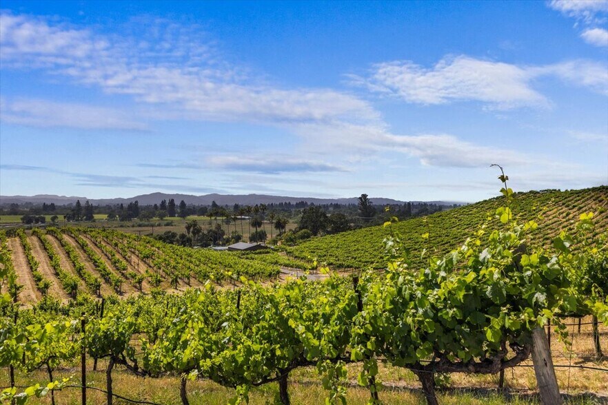 More Photos Of 4076-4080 Old Redwood Hwy, Santa Rosa Winery Vineyard For Sale